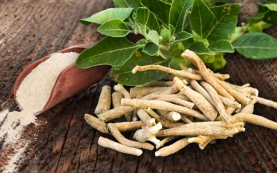Ashwagandha: para vencer el estrés y multiplicar tu energía